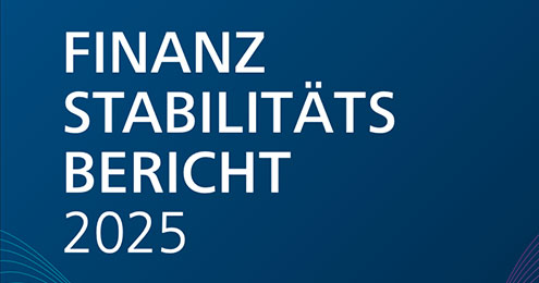 Finanzstabilitätsbericht 2025 Finanzstabilitätsbericht 2025